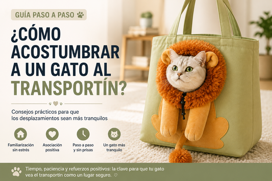 Gato dentro de un bolso transportín para gatos durante el proceso de adaptación
