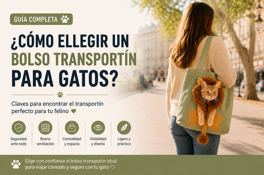 ¿Cómo elegir un bolso transportín para gatos? Guía para viajar con tu mascota